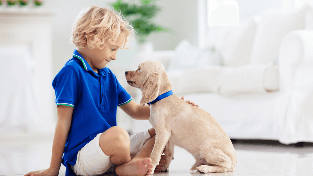 Little boy with blue shirt patting his puppy happily