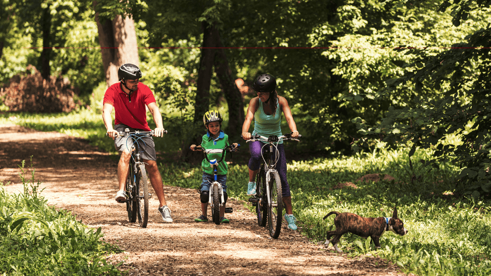 A family riding their bikes one morning with their dog close by
