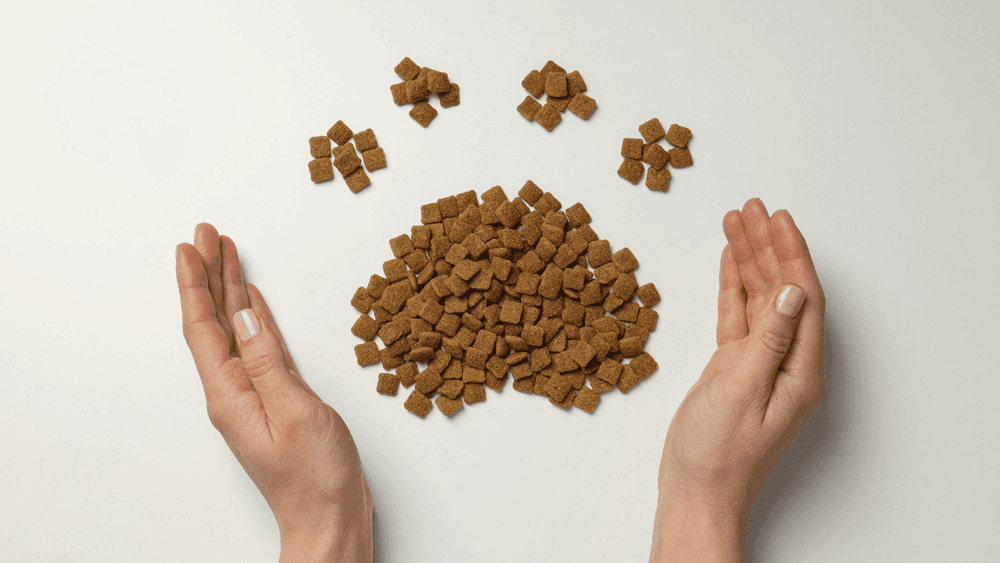 A symbolic representation of pet care: A paw-shaped dry pet food held gently within human hands, reflecting the determinants of pet food purchasing decisions.