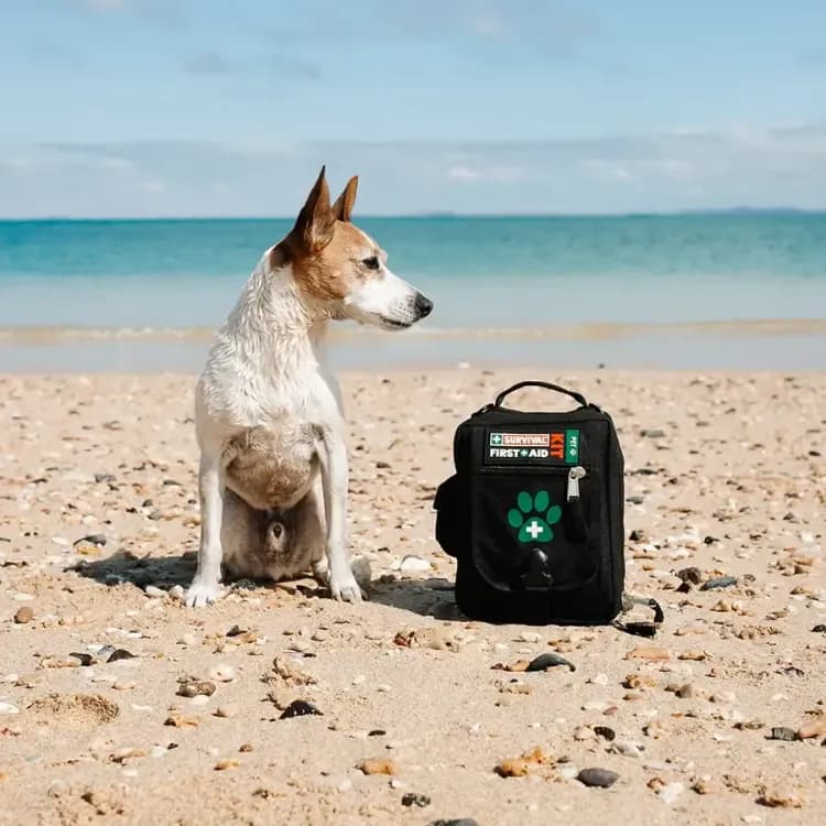 SURVIVAL Pet First Aid Kit and dog on beach