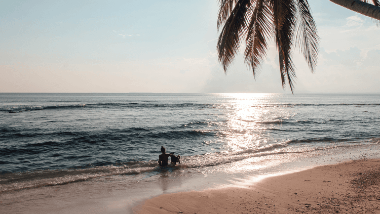 Lady and Dog sitting on the beach at Pallaranda beach, Townsville