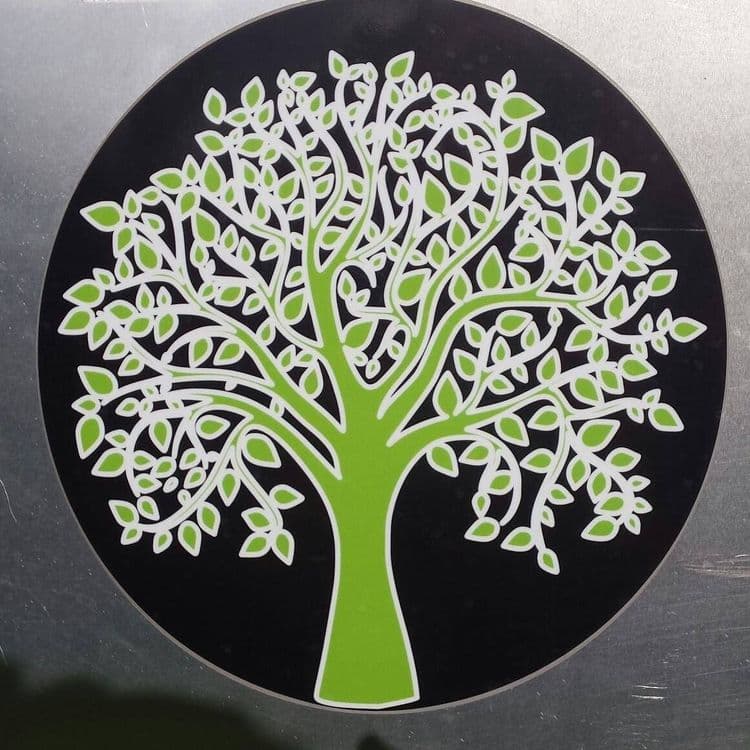 GGs The Coffee Tree