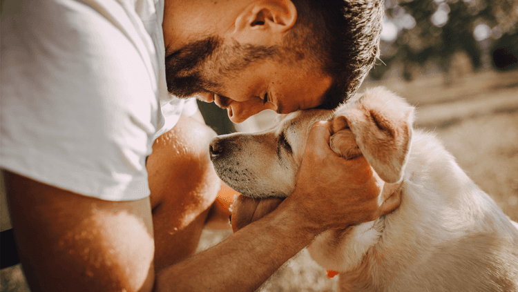 Man resting his forehead on his dog