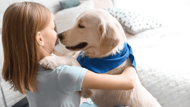 Dog being gently brushed by its owner