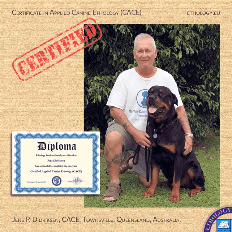 Certified dog trainer award with the owner of NorAus Canine Services and his dog.