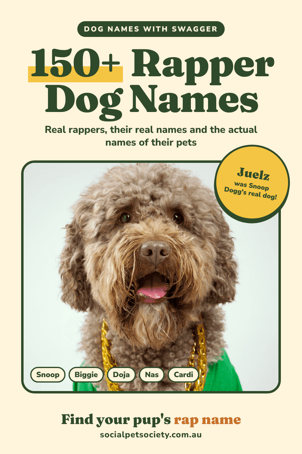 Rapper Dog Names: 150+ Hip Hop Names Inspired by Real Rappers (and Their Actual Pets)