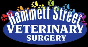 Hammett Street Veterinary Surgery