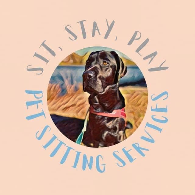 Sit, Stay, Play