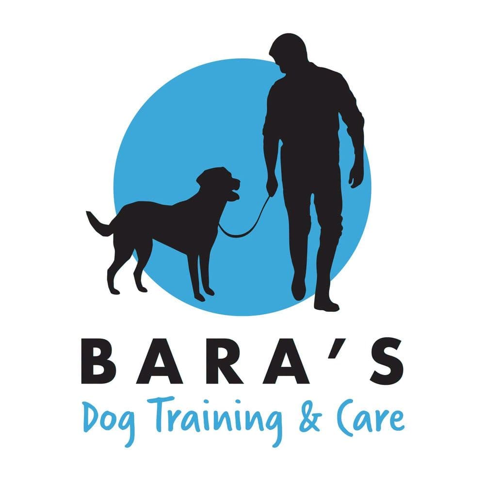 Bara’s dog training