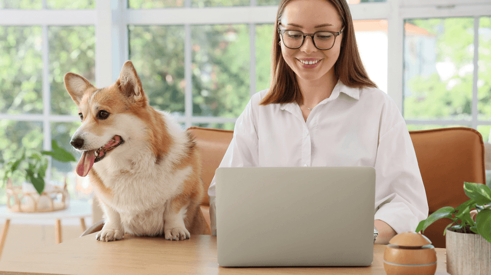 Dog sitting on a table next to its owner working on a laptop in a pet-friendly workplace.