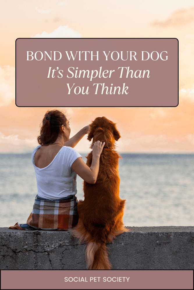 A woman and her dog sitting together on the beach, enjoying a peaceful moment. The woman is smiling gently, with the dog resting next to her, both gazing at the horizon as the sun sets.