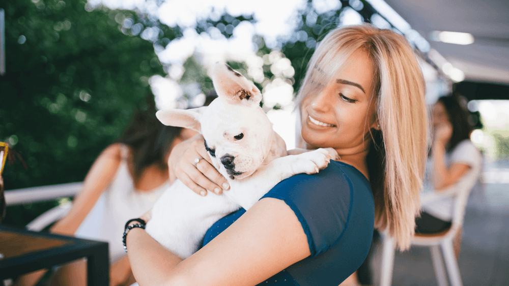 A young white dog with owner happily bonding.