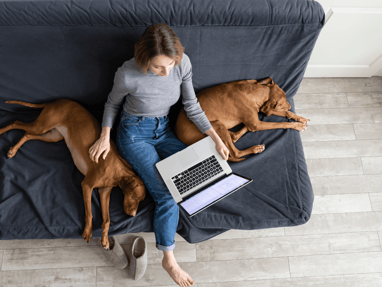 How to Start a Pet Sitting Business in Australia: 9 Steps to Real, Consistent Income