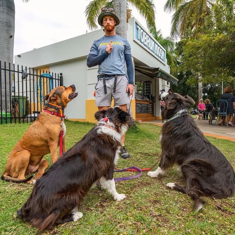 Pawprides