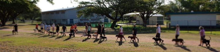 People in a group training their dogs.