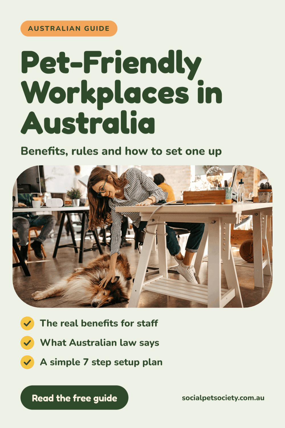 Dog laying beside an office desk with a lady patting it, with the title “Pet-Friendly Workplaces in Australia: benefits, rules and how to set one up” from Social Pet Society.