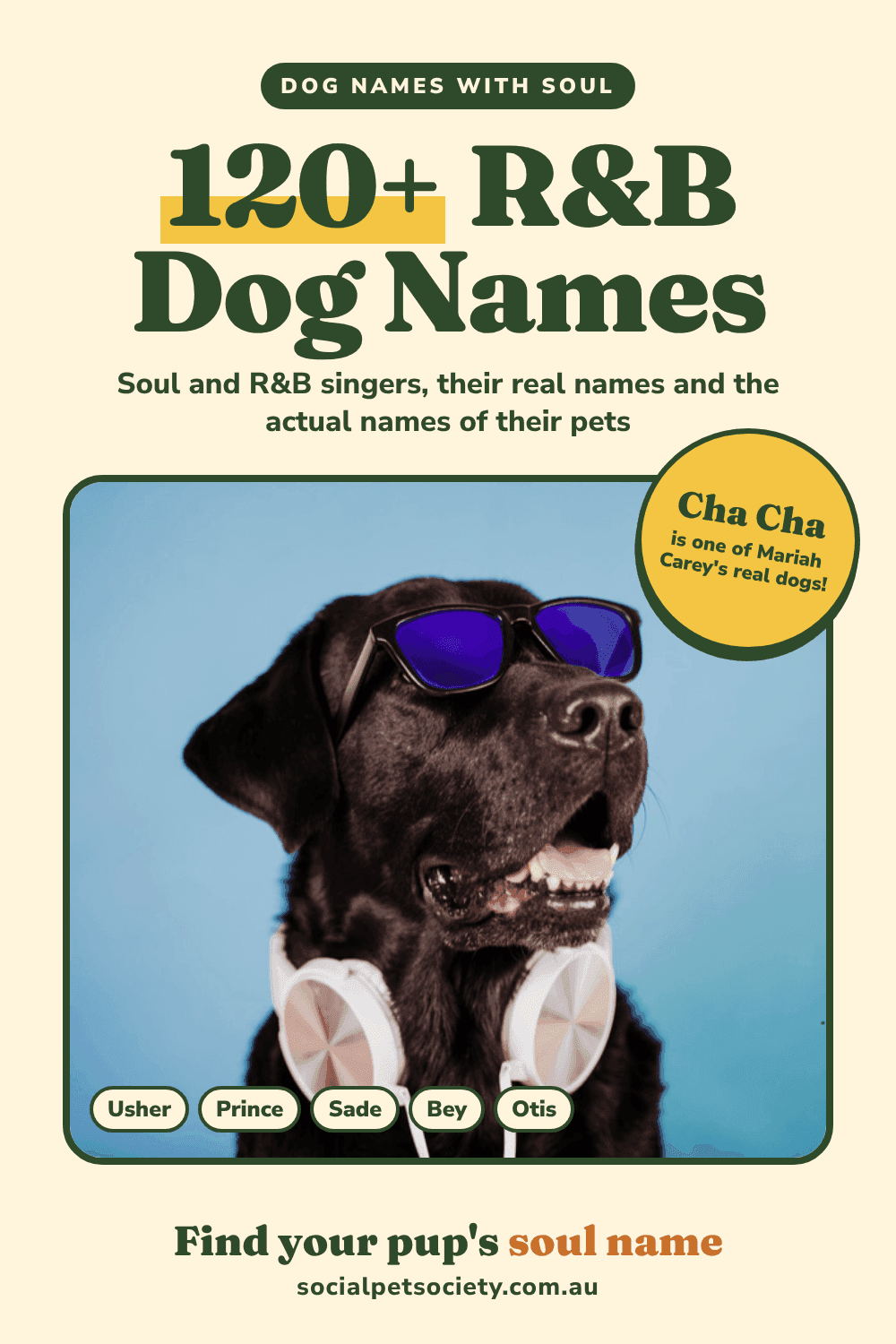 R&B Dog Names: 120+ Soulful Names Inspired by R&B Singers (and Their Actual Pets)