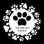 The Boujee Pooch