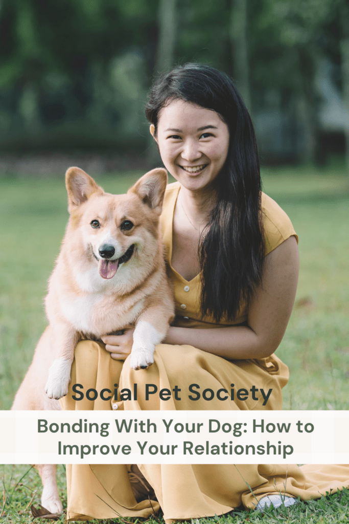 Pinterest Pin: Discover Tips to Enhance Your Bond with Your Canine Companion - Improve Your Relationship with Your Dog