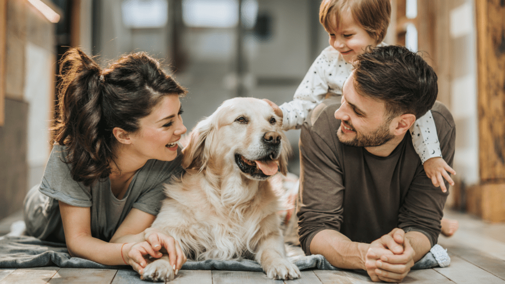 Learn the importance of positive interactions in strengthening your bond with your dog. Explore tips for fostering a loving relationship with your furry friend.