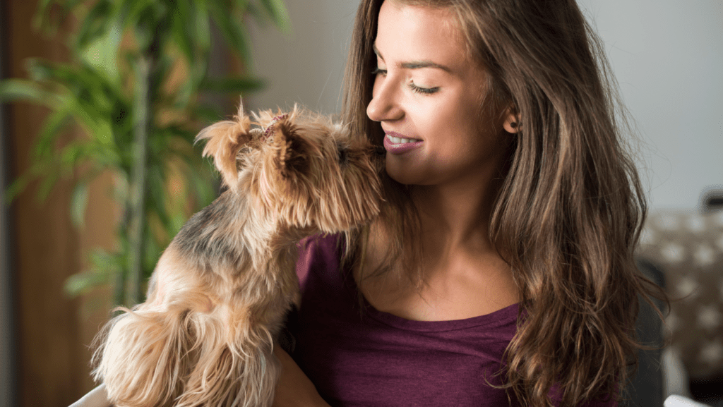 Explore the emotional bond between dogs and humans. Discover how eye contact and understanding deepen your connection with your canine companion.