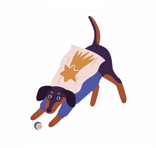 Dog wearing a cape like a super hero, playing with his ball.