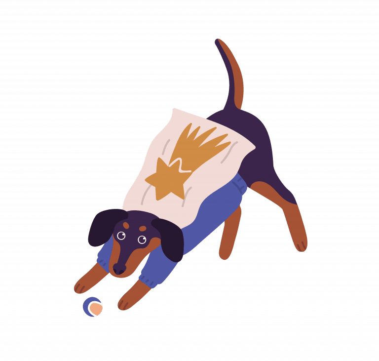 Dog wearing a cape like a super hero, playing with his ball.