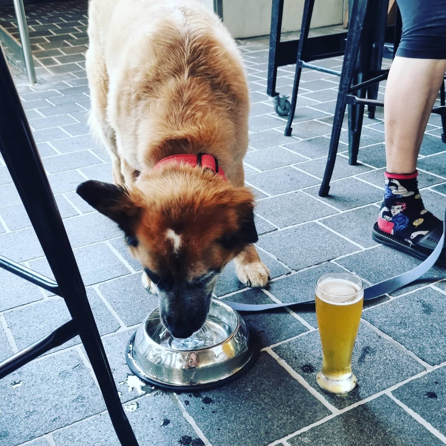 The TapHouse Townsville