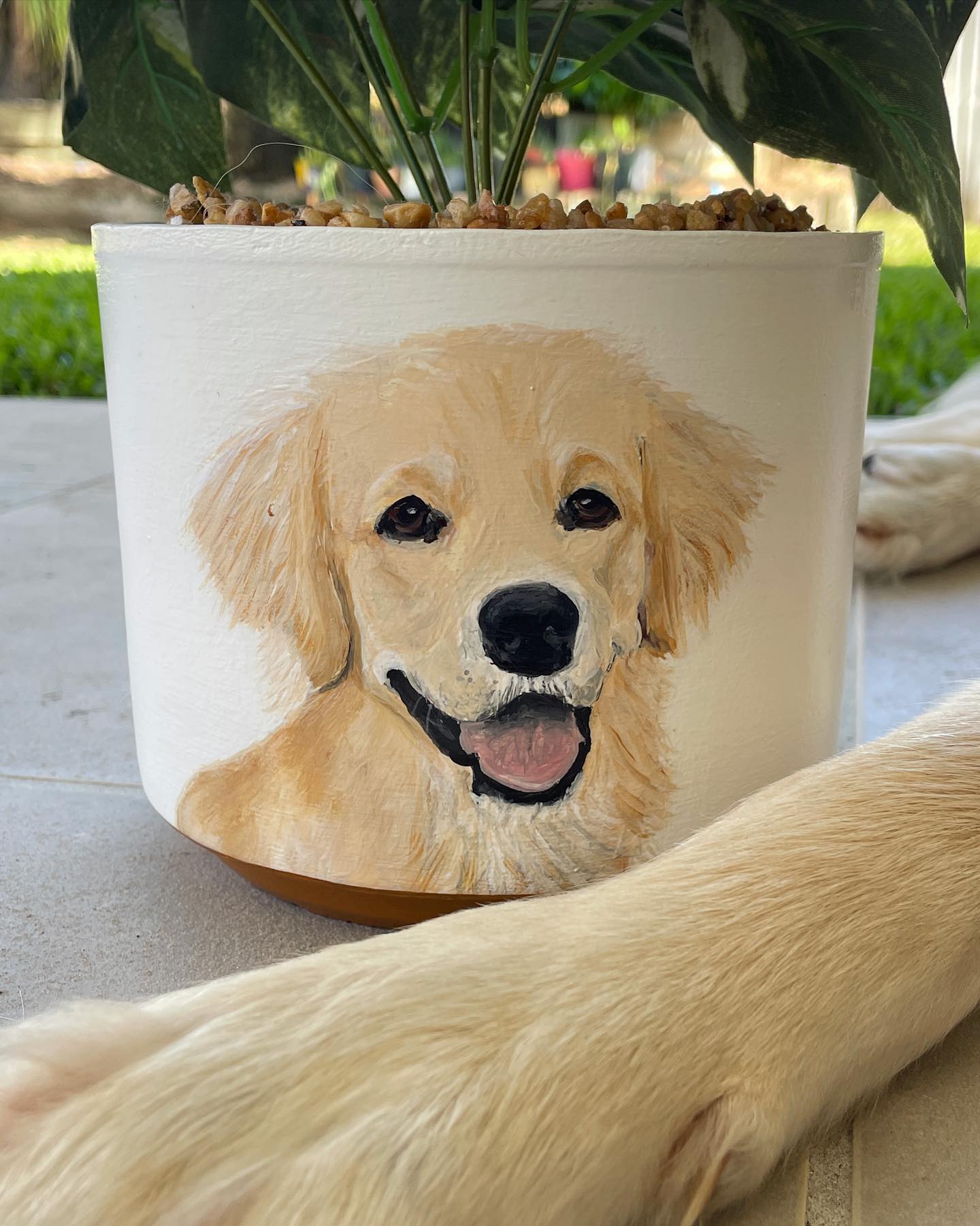 Pepper Me Happy Pepper Me Happy