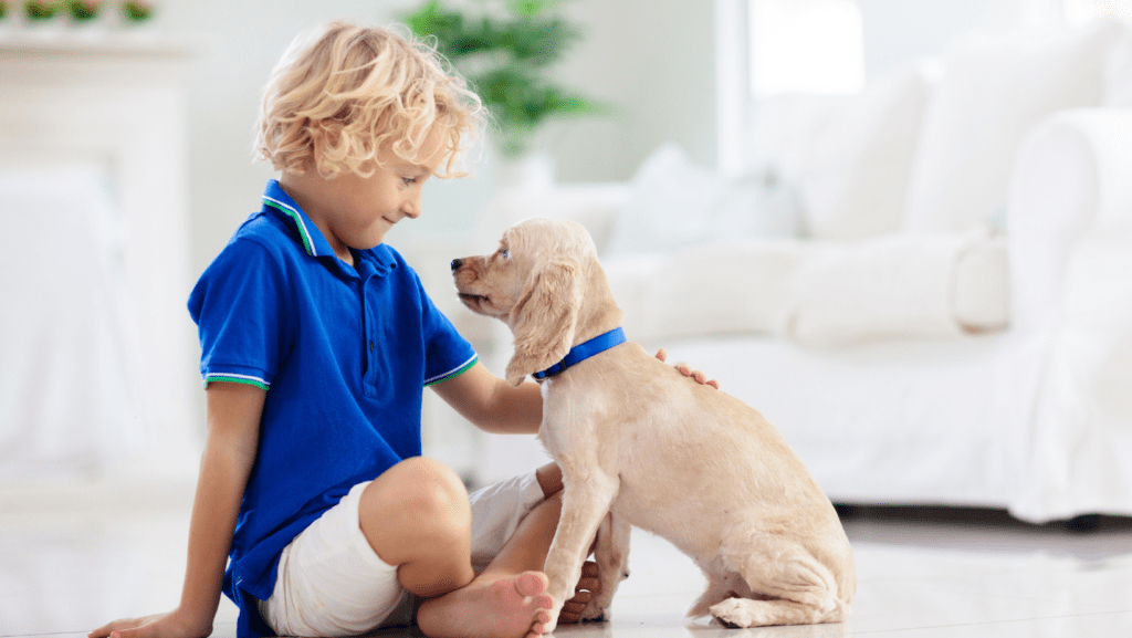 Little boy with blue shirt patting his puppy happily