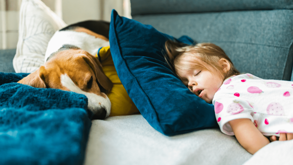 Young child sleeping next to family dog, looking at peace.