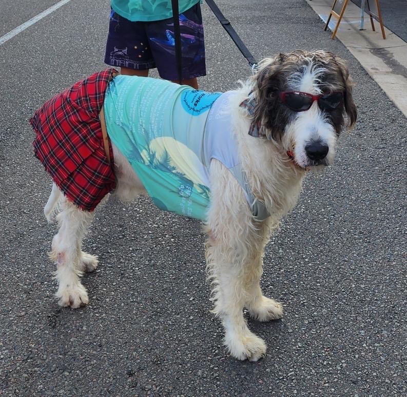 Design Works Apparel Design Works Apparel