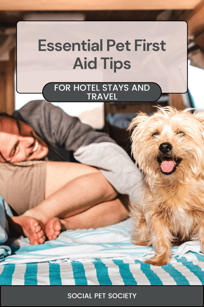 A happy lady and man traveling with their dog, enjoying their journey together.