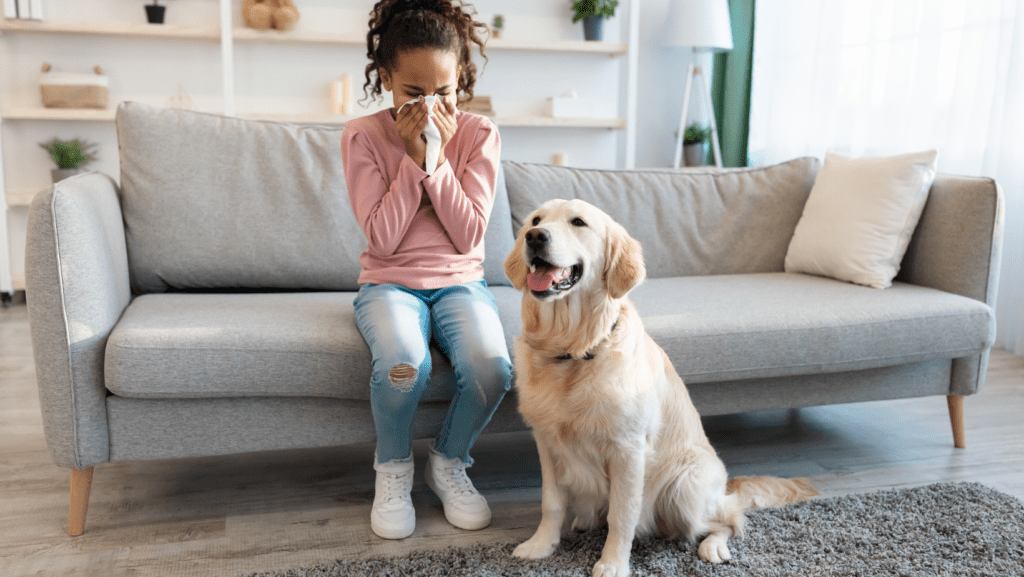 An image of a Labrador wearing a protective mask over its snout, signifying responsible behaviour during the COVID-19 pandemic.