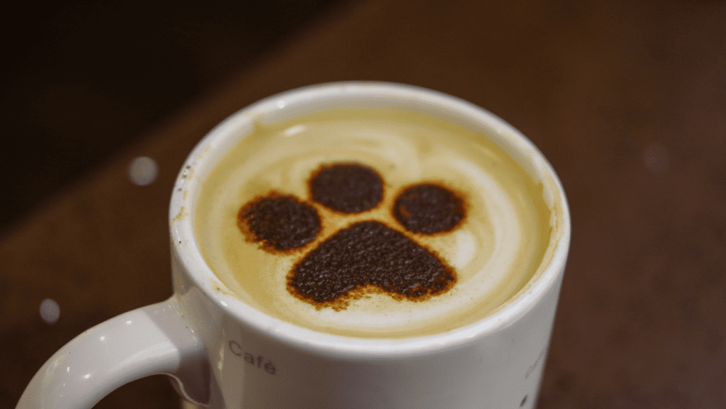Coffee Cup with Paw print in it at a pet-friendly cafe