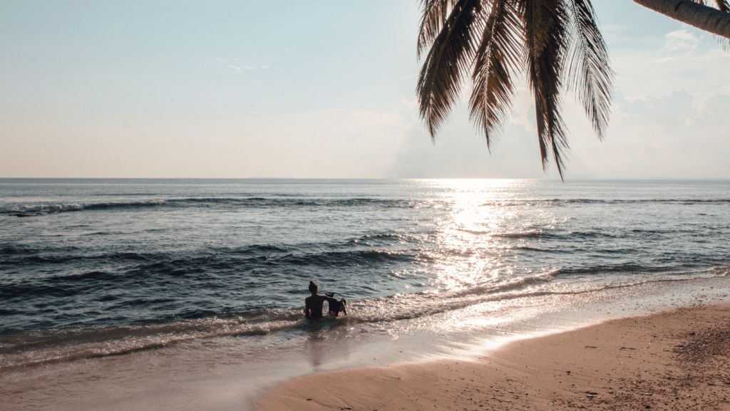 Lady and Dog sitting on the beach at Pallaranda beach, Townsville