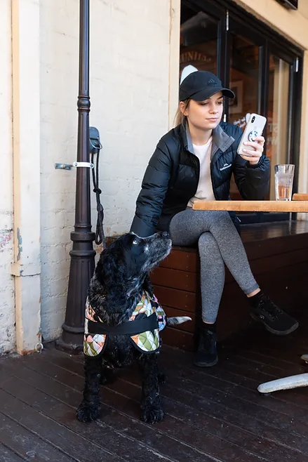 Joyful woman with her dog at a pet-friendly café table, utilising a tether point for the dog in Queensland, Australia.
