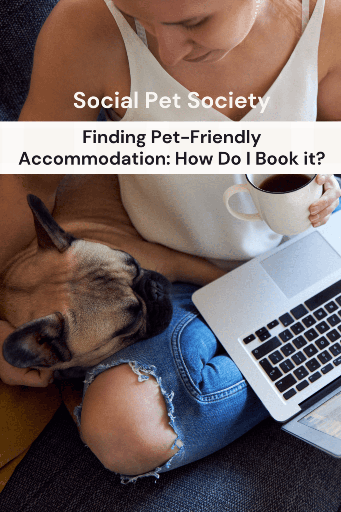 Pinterest Pin that shows a lady drinking a cup of tea and petting her dog.