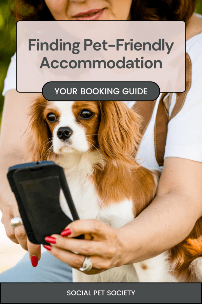 A woman searching on her phone with a dog on her lap.