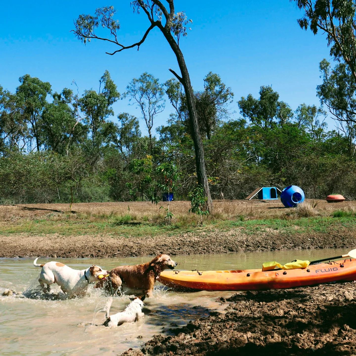 Snakeweed Flats Sniff Space