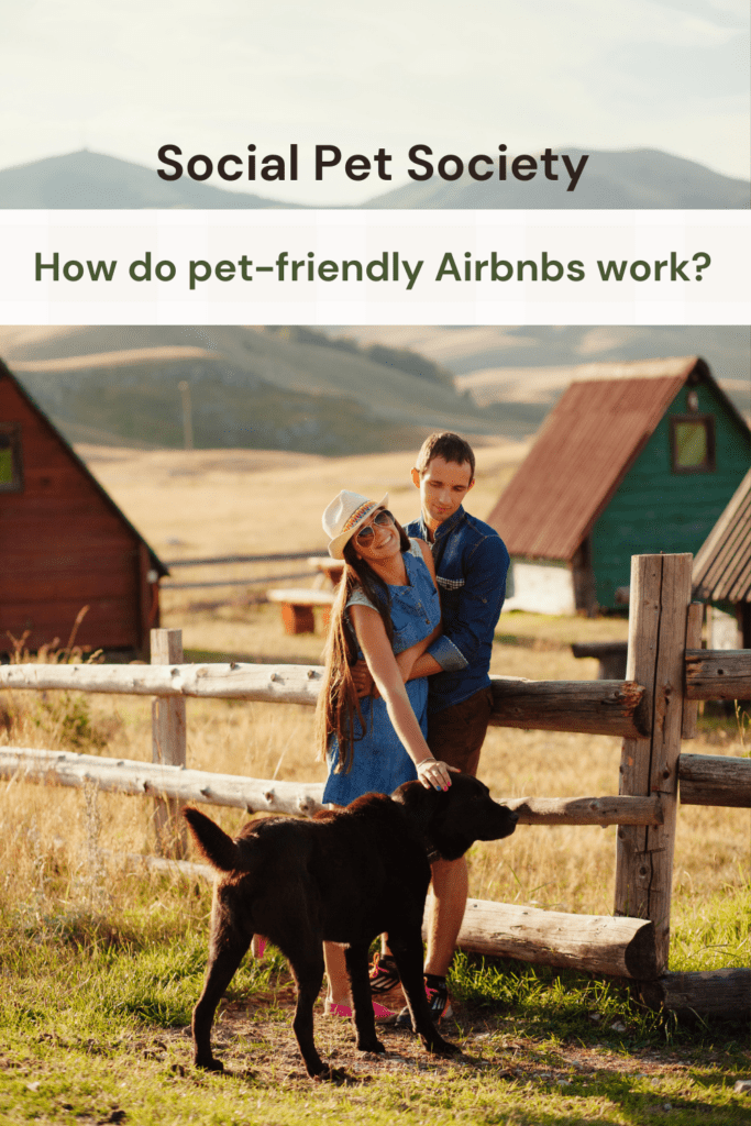 Pinterst Pin that says how do pet-friendly Airbnbs wokr? with a picture of a happy couple with their dog in a beautiful location.