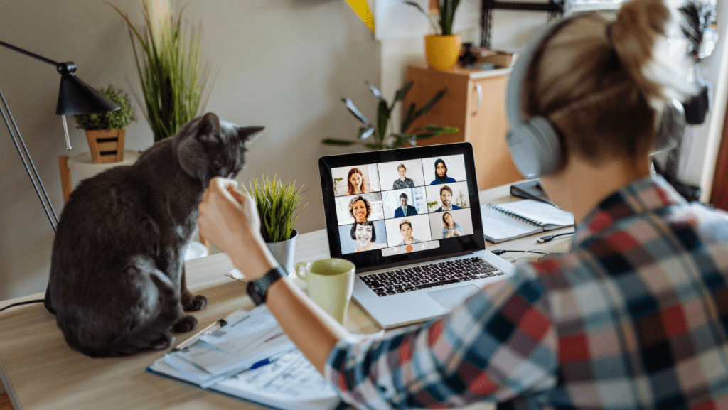 A woman sharing her desk with a content cat, illustrating the tranquil atmosphere of a pet-friendly office.