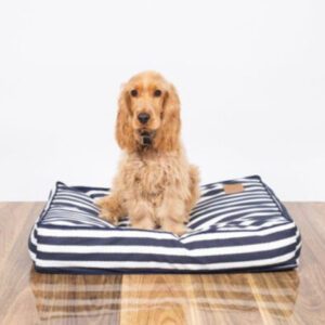 Classic Hamptons Dog Bed