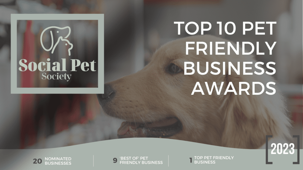 Poster for Townsville Pet-Friendly Business Award 2023 featuring a joyful dog surrounded by logos of the Top 10 Winners, celebrating the ultimate pet-friendly business of the year.