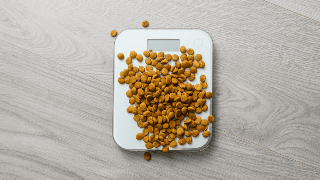 Pet food poured onto a digital scale, illustrating precise measurement for accurate portion control. Ensuring your pet gets the right amount for a balanced and healthy diet.