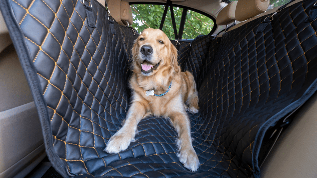 A large dog sits comfortably in a car seat, secured with safety restraints, and surrounded by a cosy blanket. This setup not only ensures the dog's safety during travel but also maintains a clean and comfortable environment. The thoughtful arrangement provides a secure and enjoyable journey for both the canine companion and the driver.