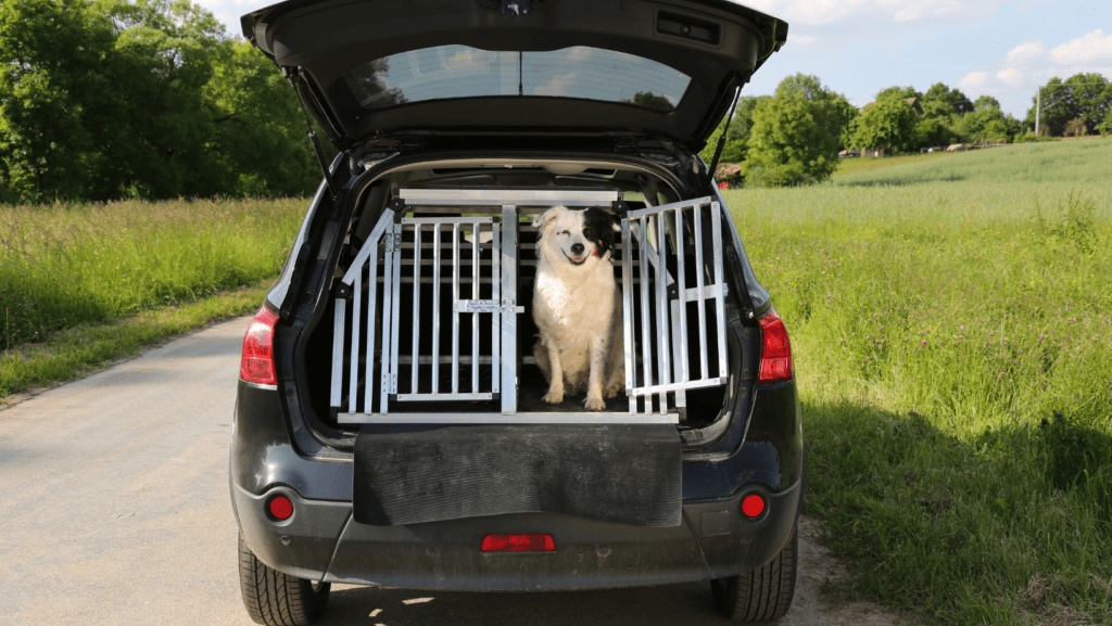 A content dog is comfortably enclosed in a car with a mesh barrier crate, providing a secure and see-through barrier between the front and back seats. The dog is visible and restrained, ensuring a safe and distraction-free travel experience for both the canine companion and the driver.