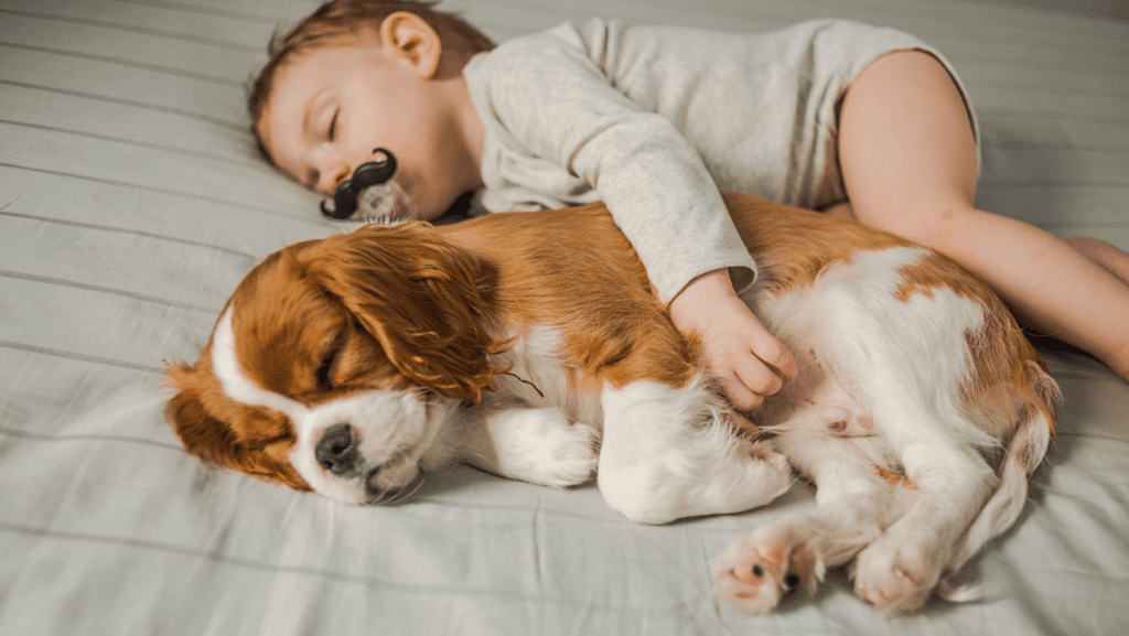 A sweet image capturing the innocence of a newborn baby cuddling with an adorable puppy, symbolising the start of a lifelong companionship.