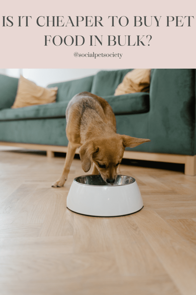Adorable dog joyfully enjoying a delicious meal, wagging its tail with excitement. Provide the best for your furry friend's nutrition!