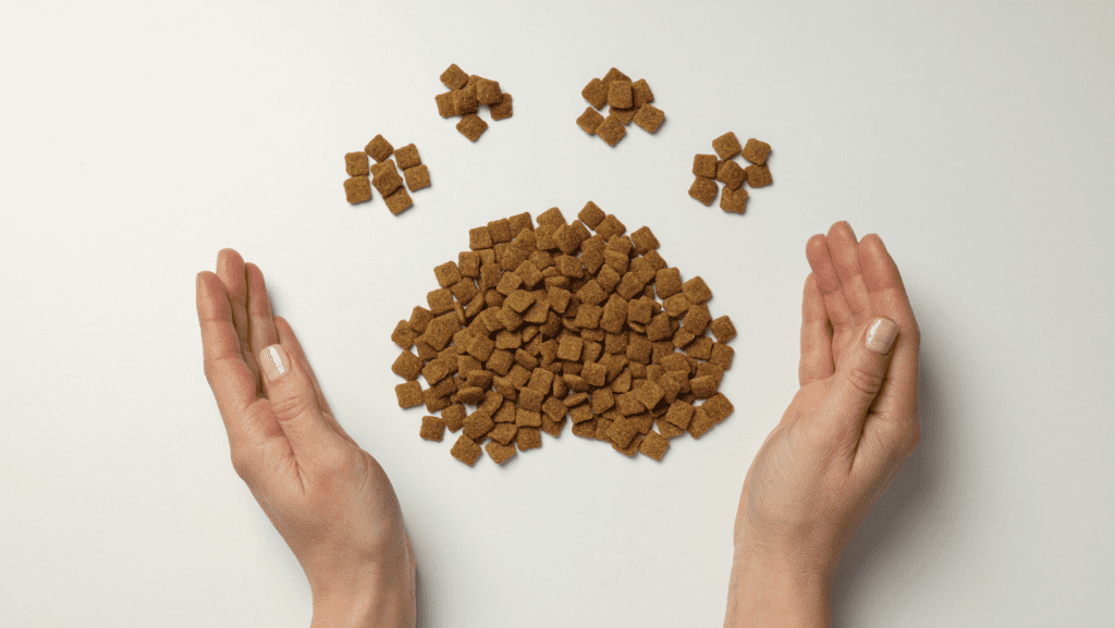 A symbolic representation of pet care: A paw-shaped dry pet food held gently within human hands, reflecting the determinants of pet food purchasing decisions.